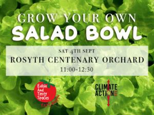 Grow your own salad bowl promotional image